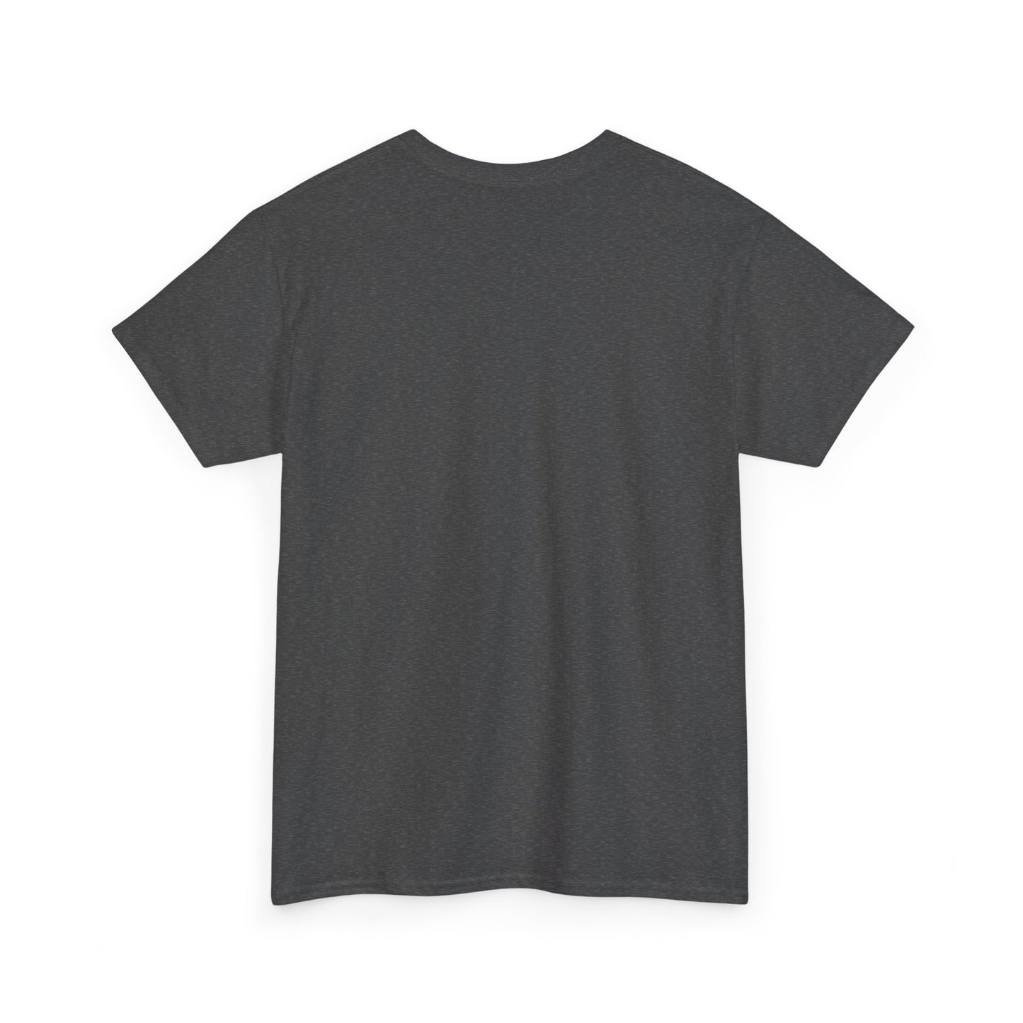 TESLA Double Truck Unisex Heavy Cotton Tee