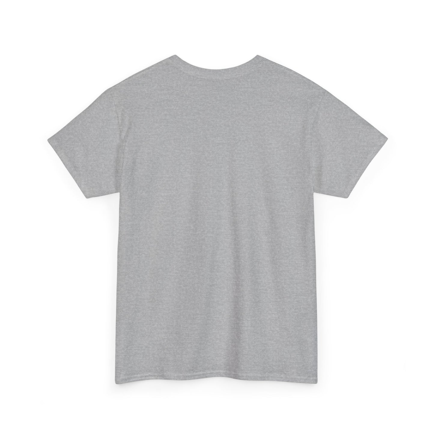 TESLA Double Truck Unisex Heavy Cotton Tee
